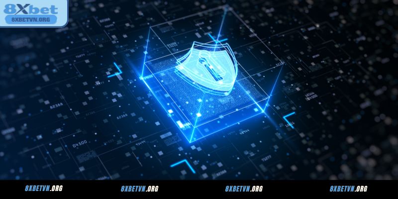 Tổng quan về quyền riêng tư 8XBET
